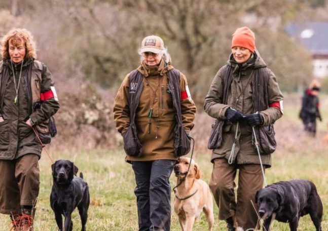 Tre kvinnor med varsin hund är ute och går i naturen.