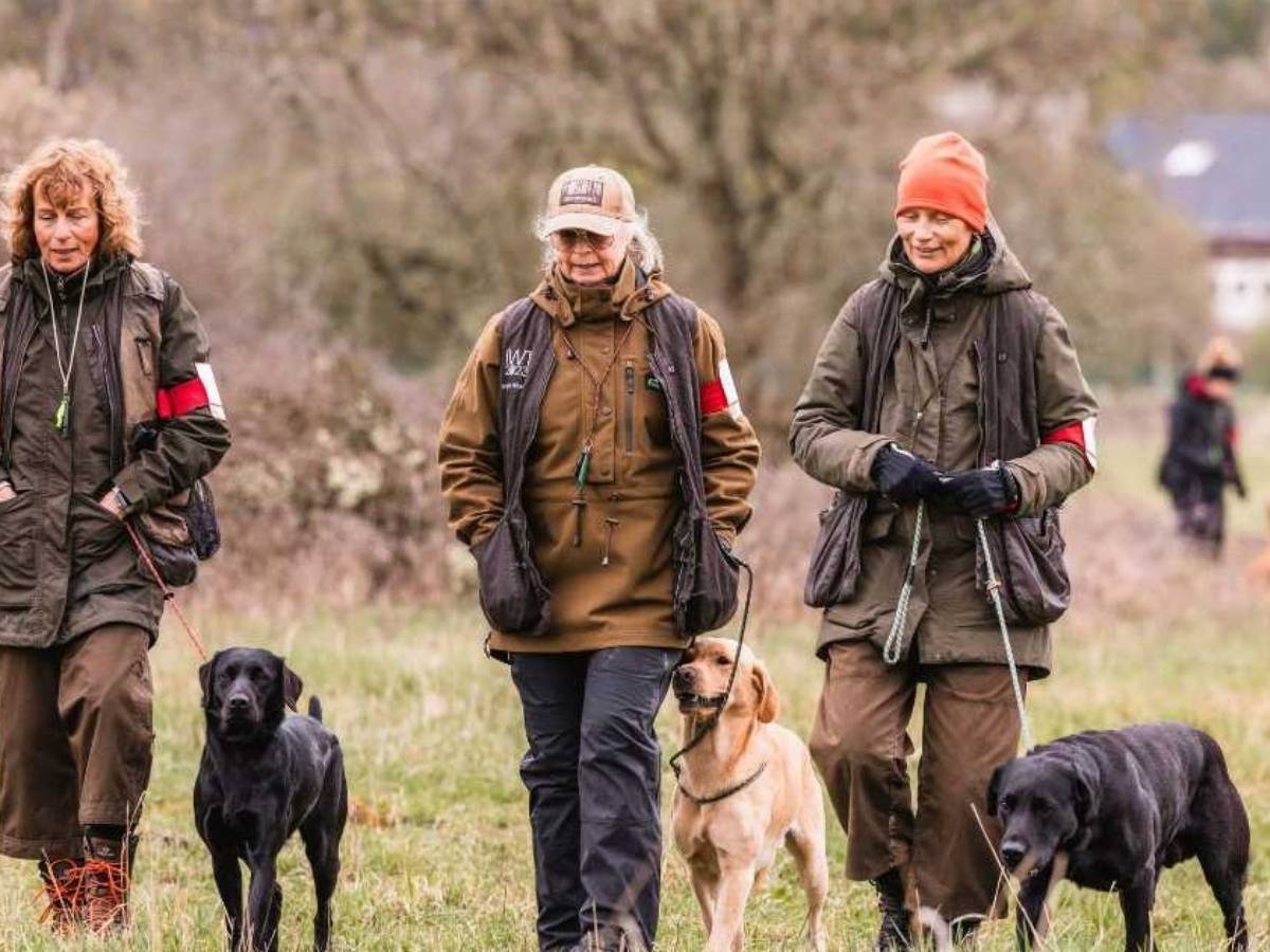 Tre kvinnor med varsin hund är ute och går i naturen.